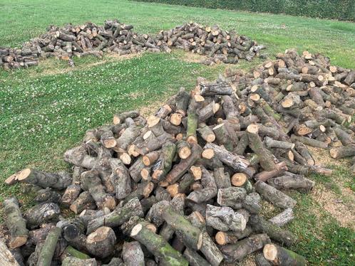 Haardhout Kachelhout Perenhout Appelhout Fruitbomenhout, Tuin en Terras, Haardhout, Blokken, Overige houtsoorten, Minder dan 3 m³