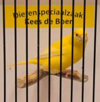 Gele kanarie man Goede zanger, Dieren en Toebehoren, Mannelijk, Kleurkanarie