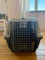 Reismand kat of kleine hond, Ophalen, Nieuw