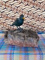 BRONZEN MERELTJE OP STUK NATUURSTEEN (SCHWARZWALD)., Ophalen of Verzenden, Brons