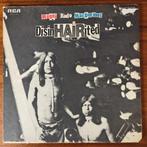 LP - Ragni - Rado - MacDermot - DisinHAIRited, Ophalen of Verzenden, Gebruikt, 12 inch, Poprock