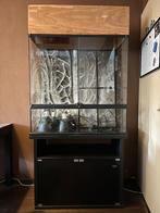 Exo Terra Terrarium Groot, Dieren en Toebehoren, Ophalen, Gebruikt, Terrarium of Paludarium