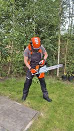 Bomen kappen, boomchirurg, boomverwijdering, wortelverwijder, Diensten en Vakmensen, Tuinmannen en Stratenmakers, Garantie, Tuinonderhoud of Snoeiwerk