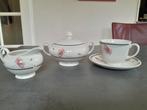 Mooi servies met bloemmotief, Ophalen of Verzenden, Zo goed als nieuw, Overige stijlen, Porselein