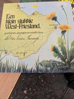 Een kloin stukkie West Friesland, Cd's en Dvd's, Ophalen of Verzenden, Zo goed als nieuw, Overige formaten