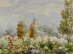  Aquarel van C. v.d. Heuvel, Berkenbomen in herfstkleuren, Antiek en Kunst, Ophalen