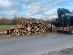 Stamhout / Brandhout Eiken, Tuin en Terras, Haardhout, 6 m³ of meer, Ophalen of Verzenden, Eikenhout, Stammen
