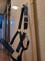 Mooi halster maat cob, Dieren en Toebehoren, Ophalen of Verzenden, Overige soorten