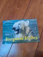 Diegaarde blijdorp gids, Ophalen of Verzenden, Zo goed als nieuw, Beeldje of Figuurtje