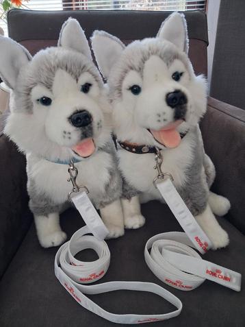  Set 2 Pluchen Husky Carl Dick - Knuffels groot met riemen  beschikbaar voor biedingen