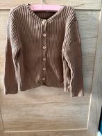 Meisjes vest maat 98, Kinderen en Baby's, Kinderkleding | Maat 98, Ophalen of Verzenden, Zo goed als nieuw, Meisje, Trui of Vest
