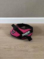 Diverse hondenspullen te koop, Dieren en Toebehoren, Ophalen, Gebruikt