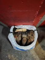 Kubb spel, Caravans en Kamperen, Ophalen