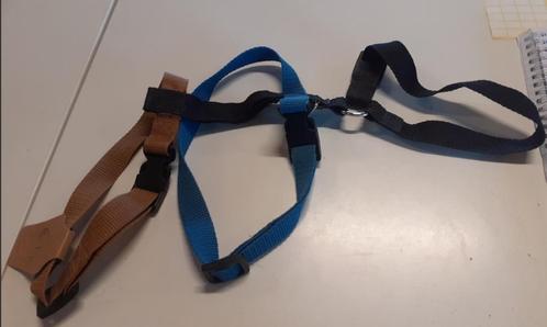 Anti-ontsnap tuigjes, Dieren en Toebehoren, Hondenriemen, Gebruikt, Ophalen
