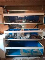 Aquarium Kweekstelling, Dieren en Toebehoren, Vissen | Aquaria en Toebehoren, Ophalen, Gebruikt, Leeg aquarium
