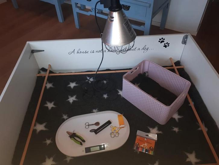 Werpkist, Dieren en Toebehoren, Hondenmanden, Overige, Ophalen