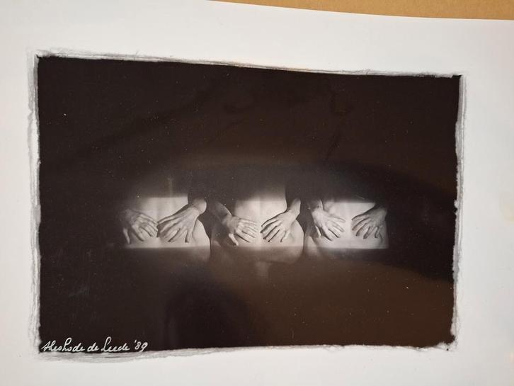 Theo Lode de Leede - Billen, 1989, Antiek en Kunst, Kunst | Tekeningen en Foto's, Ophalen of Verzenden
