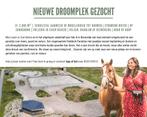 Gezocht: paardenwei te huur of te koop Velsen/Beverwijk