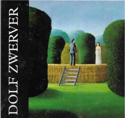 Dolf Zwerver, Boeken, Kunst en Cultuur | Beeldend, Zo goed als nieuw, Schilder- en Tekenkunst, Ophalen of Verzenden