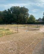 Pony paddock paradise | Red Rose Ranch |, Dieren en Toebehoren, Stalling en Weidegang, Weidegang, 2 of 3 paarden of pony's