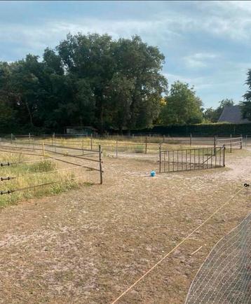 Pony paddock paradise | Red Rose Ranch | beschikbaar voor biedingen