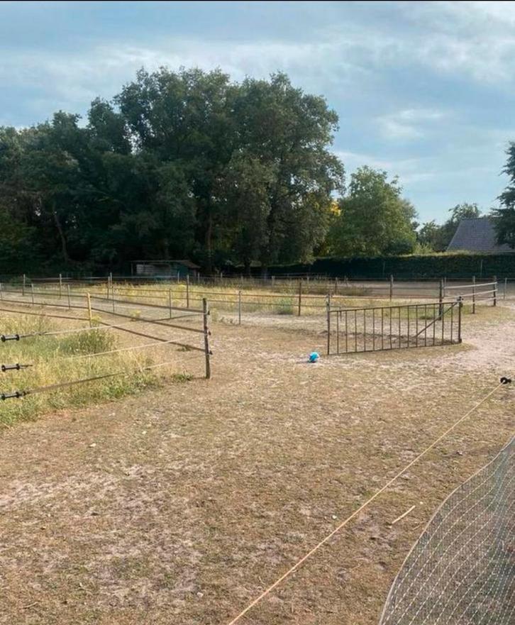 Pony paddock paradise | Red Rose Ranch |, Dieren en Toebehoren, Stalling en Weidegang, Stalling, Weidegang, 2 of 3 paarden of pony's