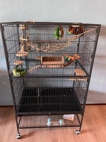 Volière 79x51x132 cm – ratten-/knaagdieren & vogels beschikbaar voor biedingen