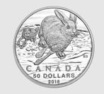 Canada - 50 Dollars 2016 - Sneeuwhaas, Setje, Zilver, Verzenden, Noord-Amerika