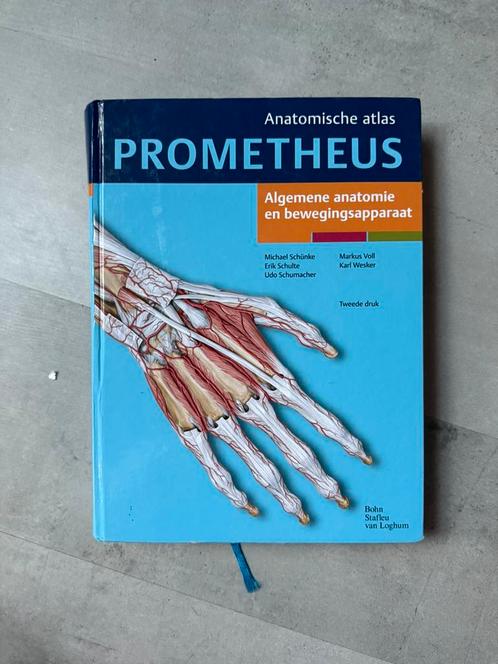 Michael Schunke - Algemene anatomie en bewegingsapparaat, Boeken, Wetenschap, Zo goed als nieuw, Ophalen of Verzenden