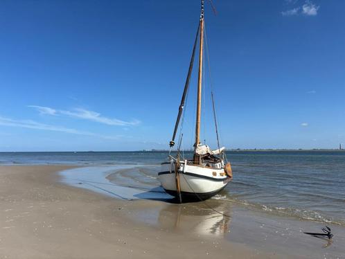 Polyester platbodem, Watersport en Boten, Platbodems, Gebruikt, 9 tot 12 meter, Polyester, Diesel, Ophalen