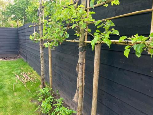 Zweeds rabat zwart schutting (20 meter lengte), Tuin en Terras, Schuttingen, Zo goed als nieuw, Hout, 6 meter of meer, Ophalen