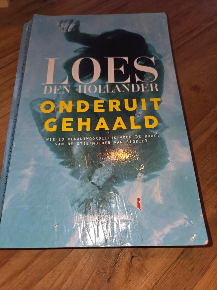Loes den Hollander - Onderuitgehaald, Boeken, Thrillers, Zo goed als nieuw, Ophalen of Verzenden