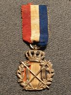 Medaille met 2 lanzen/ speren., Ophalen of Verzenden, Overige materialen, Nederland