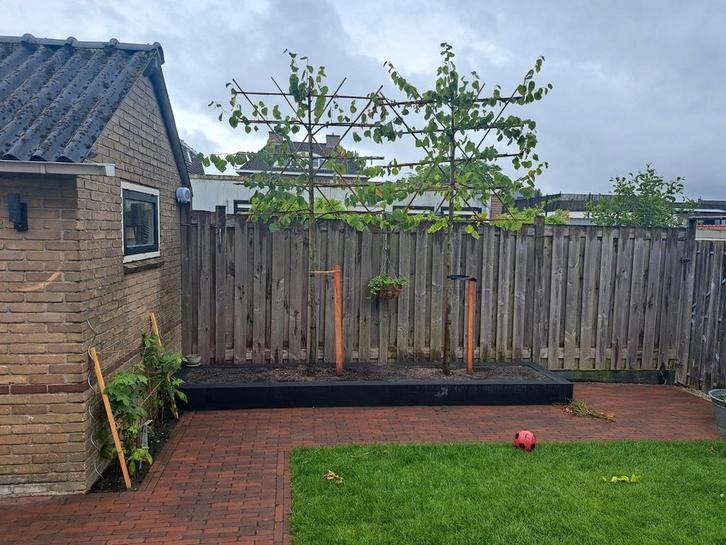 5 Schuttingdelen, Tuin en Terras, Tuinschermen, Gebruikt, Hout, 150 tot 200 cm, 100 tot 150 cm, Ophalen