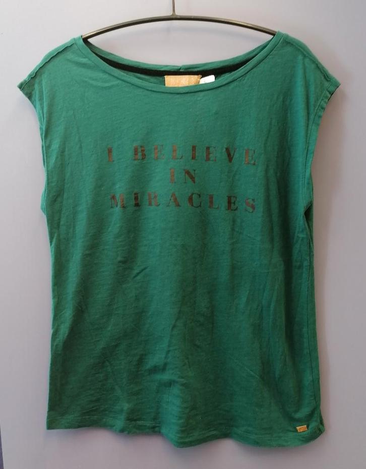 Josh V blauw groen shirt kapmouwtje model: Hillie mt L 38801, Kleding | Dames, T-shirts, Gedragen, Maat 46/48 (XL) of groter, Groen