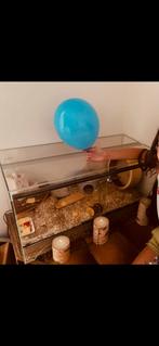 Terrarium / kooi, Dieren en Toebehoren, Ophalen of Verzenden