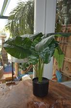 Nieuw! Kave Home Kunstplant Alocasia 57 cm hoog, Ophalen of Verzenden, Nieuw, Binnen