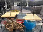 Hamsterkooi, Dieren en Toebehoren, Kooi, Minder dan 75 cm, Zo goed als nieuw, Ophalen