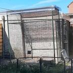 Buiten kooi voor grote vogels of kippen, Dieren en Toebehoren, Vogels | Duiven, Overige soorten