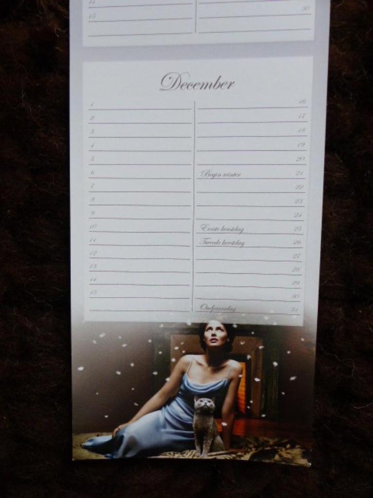 verjaardagskalender Sheba kalender grijze kat, Diversen, Kalenders, Nieuw, Maandkalender, Ophalen of Verzenden