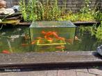 Glazen bak voor vissen., Tuin en Terras, Vijvers, Ophalen of Verzenden, Zo goed als nieuw