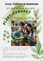 Plantjesmarkt in Borne zaterdag 28 juni, Huis en Inrichting, Kamerplanten, Ophalen, Overige soorten, Minder dan 100 cm