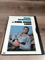 Cool Hand Luke met Paul Newman regio 1 US import, Vanaf 16 jaar, 1980 tot heden, Ophalen of Verzenden, Zo goed als nieuw