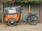 Babboe Curve (Goedgekeurd), Ophalen, Zo goed als nieuw, 4 kinderen of meer, Elektrisch
