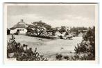 Zeegse, (bij Zuidlaren) Zeegze, Verzamelen, Ansichtkaarten | Nederland, Verzenden, Voor 1920, Gelopen, Drenthe
