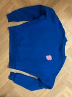 Amy & Ivy Sweater - Maat XXS, Kleding | Dames, Truien en Vesten, Ophalen of Verzenden, Zo goed als nieuw, Maat 34 (XS) of kleiner