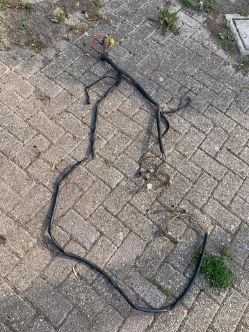 Golf mk2 verlichting kabelboom beschikbaar voor biedingen