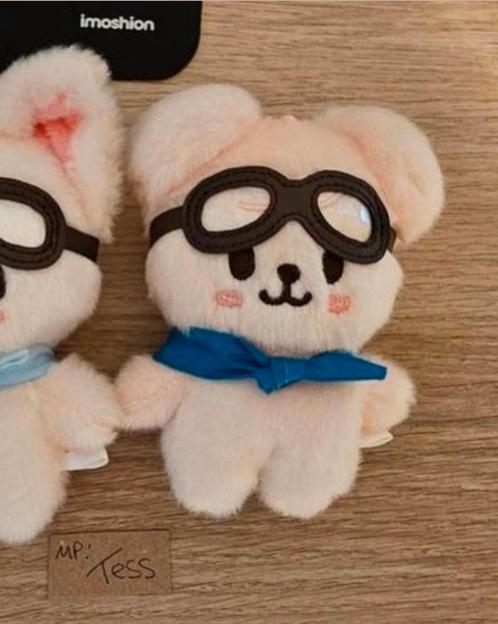 Kpop stray kids 10 cm pilot fanmeeting plushie puppym, Verzamelen, Muziek, Artiesten en Beroemdheden, Zo goed als nieuw, Foto of Kaart
