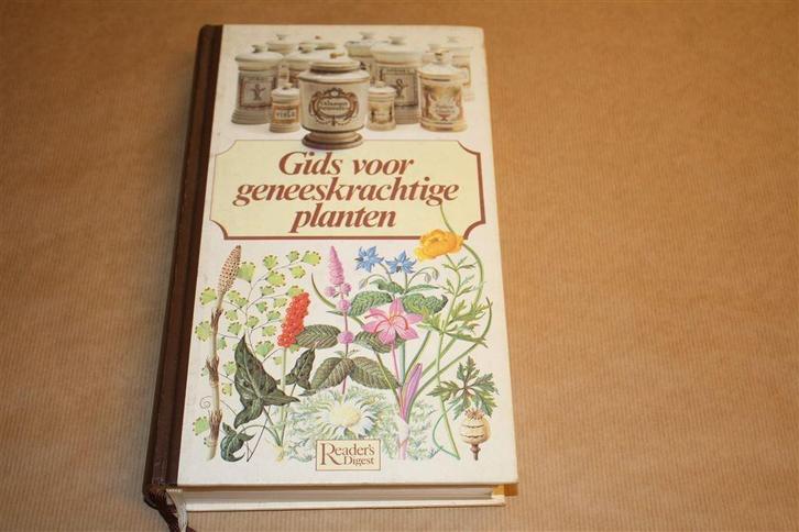 Dikke pil - Gids voor geneeskrachtige planten - Reader's Di, Boeken, Gezondheid, Dieet en Voeding, Zo goed als nieuw, Kruiden en Alternatief
