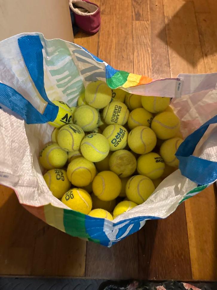 75 ex-competitie tennisballen – ideaal voor actieve honden, Dieren en Toebehoren, Hondenspeelgoed, Zo goed als nieuw, Intelligentiespeelgoed